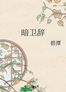《暗卫辞》